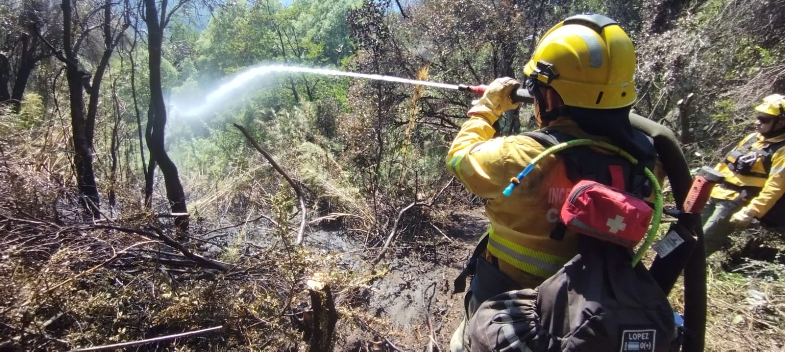 Brigadistas catamarqueños combaten los incendios forestales en el sur del país