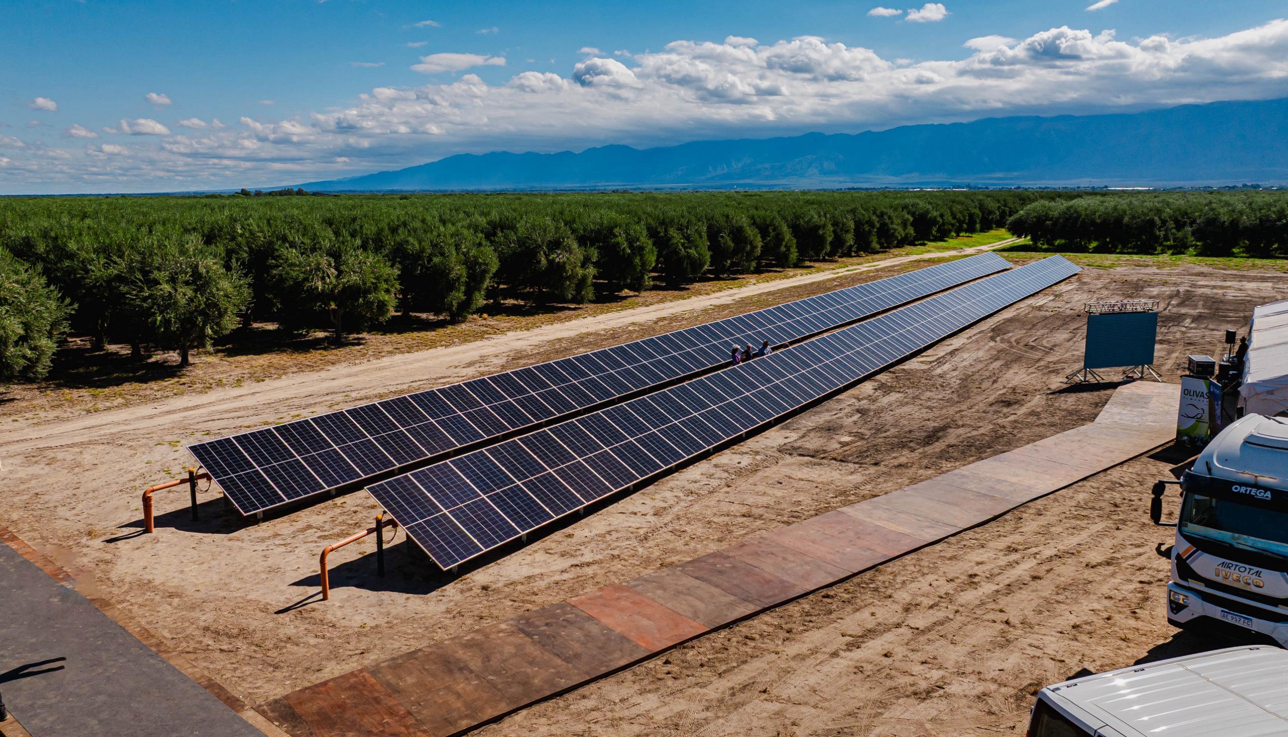 Energía limpia: Olivas al Mundo inauguró sistema de paneles solares que optimiza la producción olivícola